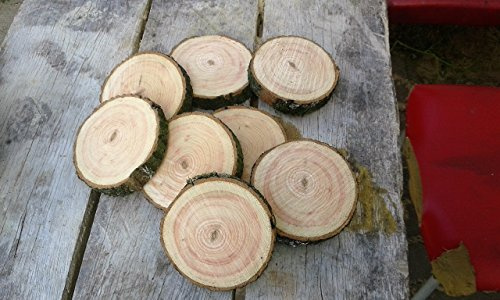 KJR Holzmanufaktur 5 Baumscheiben, Holzscheibe,Baumscheibe, ca. 18-20cm