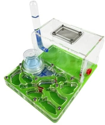 GTGXZX Ameisenfarm Ameisennest Acryl Ant Castle Ant Zucht Feuchtigkeitsspendende Nest Wissenschaftliche Beobachtung DIY Ant Nest Castle Ant Ameisenhaus Ameisen Zucht Box(Grün)