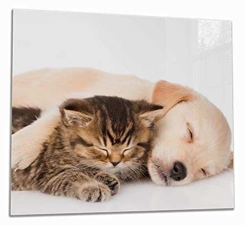 Wallario Herdabdeckplatte/Spritzschutz aus Glas, 1-teilig, 60x52cm mit 8mm hohen Füßen, für Ceran- und Induktionsherde, Katze und Hund in Harmonie - Kuschelnde Tiere