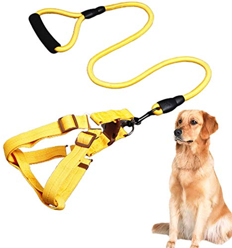 PURRL Katzengeschirr und Leine Hundeleine Hundegeschirr für mittelgroße Hunde Katzengeschirr mit Leine Leine für große Hunde Hundegeschirr Leine Hundegeschirr und Leine Sets gelb,s Little Surprise