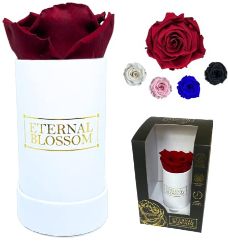 Eternal Blossom Preserved Real Infinity Rose | Eternal Rose That Lasts Over A Year White Box | With Gift Box (Rouge Red)