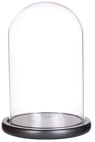 LegendTech Cupola in vetro con base in legno nero (15 cm x 30 cm)