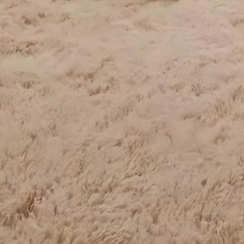 AIMECO Hochflor Teppich Wohnzimmer Carpet Beige 60X90cm Anti-Rutsch Extra Große Teppiche Schlafzimmer flauschig Teppiche Matte Teppichen Mädchen Schlafzimmer und Kinderzimmer