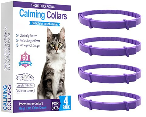 4pcs Cat Collars, Each One 8-Month Continuous Support for Kittens(Purple)