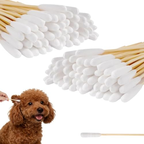 CATZUM 100 piezas Limpiador de oídos largo con cabezal ancho, Hisopos de algodón para mascotas, Limpieza de oídos para perros y gatos, Animal bastoncillos limpiadores para gatos, mascotas (12 cm)