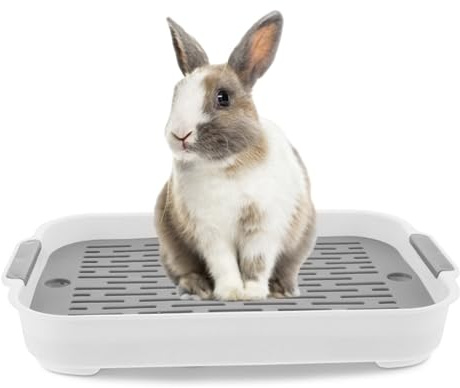 Kaninlåda 2 nivåer kaninlåda plast rektangulär kanin husdjurstoalett 18,5 x 26,9 x 3,3 cm pottränare sänglåda för marsvin kanin iller hamster igelkott, toalett