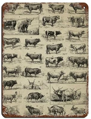 Cartel de metal vintage con diseño de toros antiguos, para decoración de pared, bar, bar, decoración de pared, póster retro de 12 x 16 pulgadas (30 x 40 cm)