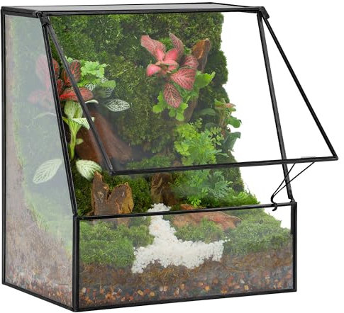 REDHUGO Terrarium en verre fait à la main avec couvercle, centre de table d'intérieur