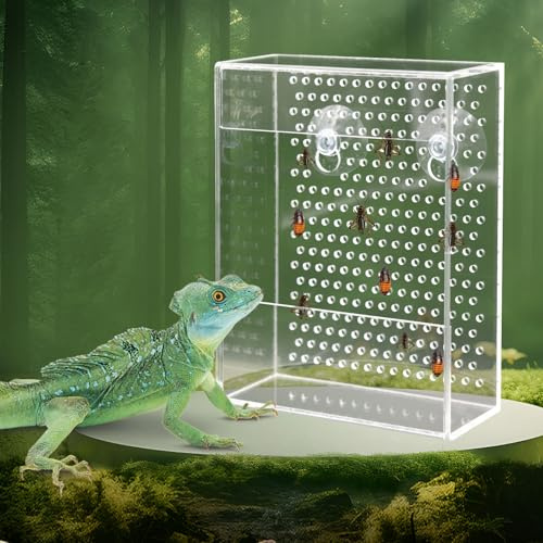 Transparent Acrylic Reptile Feeder Box, Wall-Mounted Insect Feeder with Suction Cups, Tank and Aquarium Accessories for Lizard, Bearded Dragon, Gecko, Frog