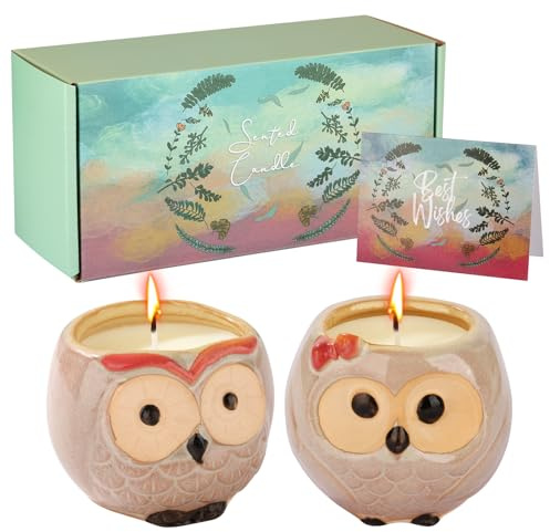 Geschenke für Mütter Geburtstag, Frauen Geburtstagsgeschenk, Schwester Geburtstagsgeschenke, 2-Pack niedliche Kerzen (Eule)