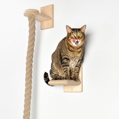 WANGJIANPENGPL Katzen Wand Klettern, Katzenmöbel Wand, mit Kratzbaum, Kätzchen-Strickleiter mit Sprungplattform, Wandstufen Zum Spielen und Ausruhen(180cm/71in)