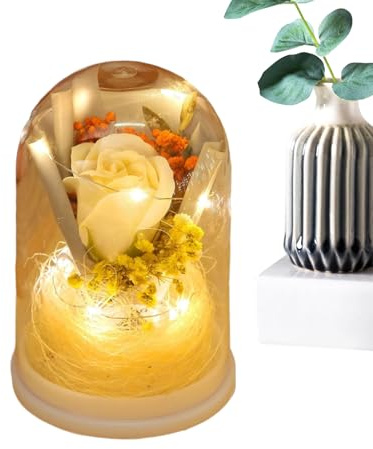 Générique s | Bouquet di rose illuminato sotto campana di - Infinito con luce - per lei regalo di compleanno di Natale