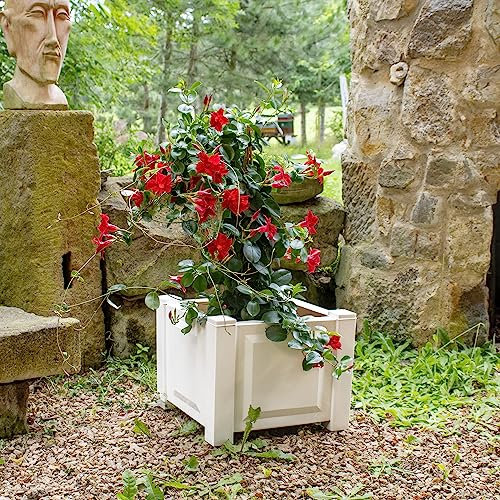 NYVI Pflanzkasten NYVIGreen 43x43x41 cm 44 Liter - Pflanzkübel aus wetterfestem & recyceltem Kunststoff - Blumenkasten - Pflegeleicht, Steckmontage ohne Werkzeug, Farbe:Weiß