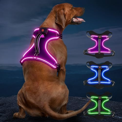 Hundegeschirr Leuchtend Wiederaufladbares Leuchtgeschirr für Hunde Led Beleuchtetes Hundegeschirr für Klein Mittelgroße Große Hunde