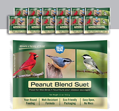 Blue Seal Peanut Blend Suet Cakes for Wild Birds - No Mess Suet Feed, Food for Woodpeckers, Cardinals, Siskins, Sparrows & More - 11oz Suet Feeder, Bird Seed Cakes (Pack of 12)