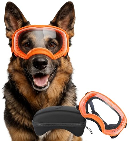 PETLESO Hundebrille Winddichte Hunde Sonnenbrille Hund Schutzbrille mit Verstellbare Band Geeignet für Mittelgroße bis Große Hunde-Orange