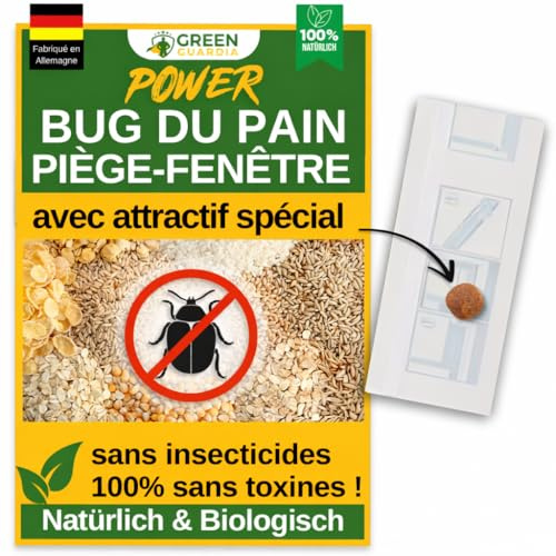 GREEN GUARDIA Brokäfer Fenster-Falle mit Spezial-Lockstoff - 3X Fallen - umweltfreundlich Brotkäfer bekämpfen, Chemiefreie Falle mit starker Klebefläche, giftfrei & geruchsneutral