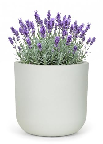 Mazovia Interno Ed Esterno Vaso da Fiori Terrazza Ø44cm Rotondo Bianco Ecru | Interno Ed Esterno Vaso da Fiori per Soggiorno Sala da Pranzo Tinta Unita Resistente Alle Intemperie Eco Robusto Minimalista