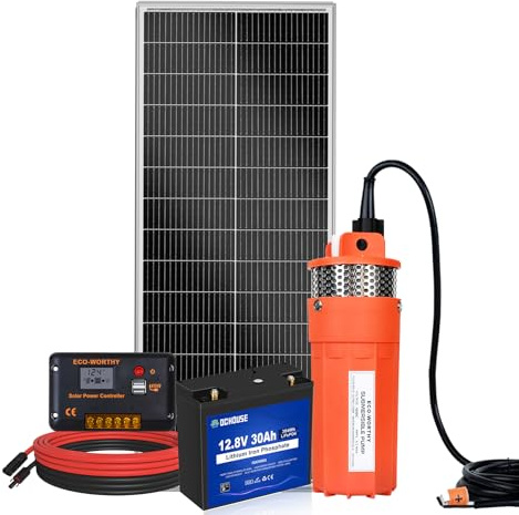 DCHOUSE Kit de pompe de solaire 12V + kit de panneau solaire 100W + batterie 30Ah + contrôleur 20A pour fontaine, irrigation, remplissage du réservoir d'eau