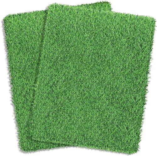 STARROAD-TIM Artificial Grass Rug Turf for Dogs Indoor Outdoor Fake Grass for Dogs Potty Training Area Patio Lawn Decoration (25.6 x 19.7 Inch (Pack of 2))