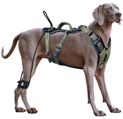 ANAFNI Easy Walk Hundegeschirr für große Hunde, strapazierfähig, taktisches Hundegeschirr mit Griff, einfache Kontrolle und Training, bessere Leinenmanieren (Moosgrün, Größe M)
