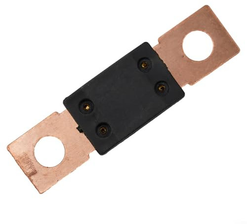 Vertrauenswürdiger Sicherungshalter, überlegener Schutz für Auto-Audio-Leistung, 12/24 V, 60, 500 Ampere (125 A)