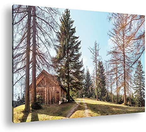 deyoli - Stampa Artistica su Tela con Immagine di Vecchia capanna di Legno nel Bosco, già incorniciata su Telaio in Legno Naturale, Stampa Digitale di Alta qualità, Senza Poster, 120x80