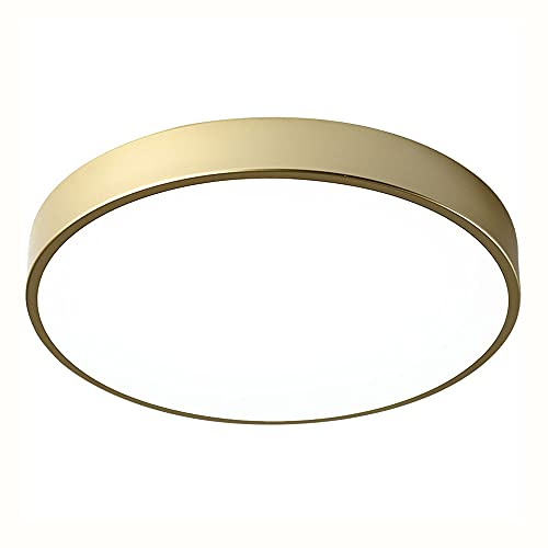 JXINGZI Nordic LED Ceiling Light Creative Round Gold Flush Mount Lighting Fixture Light Luxury and Warm Easy to Install Lighting Fixture Used in The Living Room, Kitchen and Bedroom