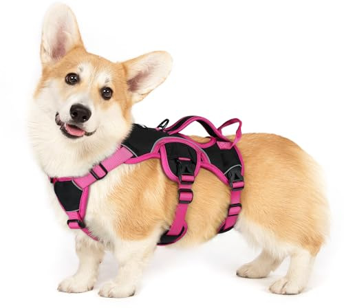 rabbitgoo Hundegeschirr Mittelgroße Hunde，Sicherheitsgeschirr Hund | Sicherer Hebegriff, einfache Kontrolle, Anti-Zug, verstellbar, Reflektierend, für Gassi & Training, S, Schwarz & Rosarot