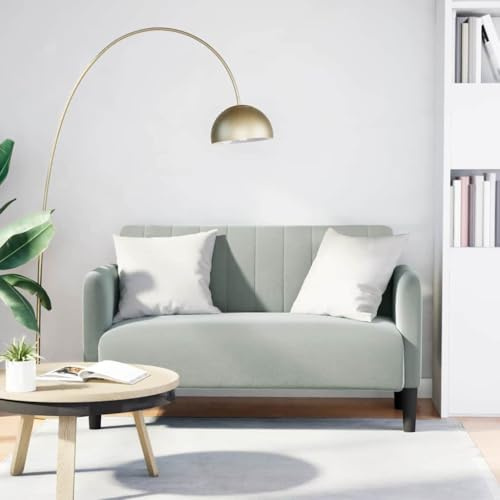 WEMYUFURN Zweisitzer-Sofa aus weichem Samtstoff mit Federkern und Schaumstoff, robustem Sperrholzgestell, stabilem Design für modernes und traditionelles Wohnambiente, komfortabel