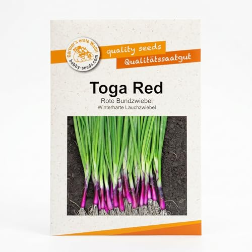 Bobby-Seeds Bundzwiebel Samen Toga Red für ca. 300 Pflanzen, winterharte Lauchzwiebel, aromatisch & ertragreich, ideal für Garten & Hochbeet
