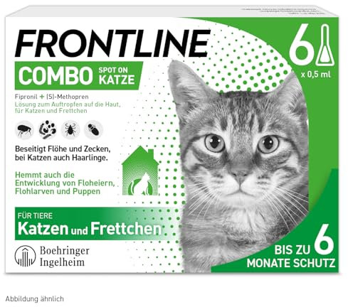 FRONTLINE Combo Spot on Katze Lsg.z.Auft.a.Haut 6 St