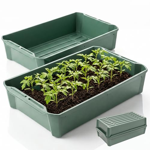 Hausfelder Pflanzschale Anzuchtschale 58x32x11 cm, 2 Stück | Rissfeste Pikier- & Pflanzwanne, frost- & UV-stabil, für Gewächshaus, Balkon & Microgreens