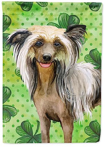 Caroline's Treasures BB9833GF Drapeau chinois à crête pour jardin Taille S Multicolore