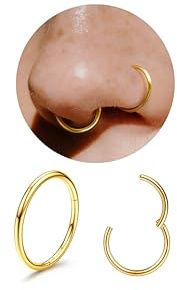 Diamday G23 Titanium Nose Rings Hoops 20G 18G 16G Seamless Hinged Nose Piercing Jewelry Hypoallergenic Click Septum Helix Rings Lip Cartilage Daith Conch Tragus Rook Belly Button Gold/Silver 8-10mm10