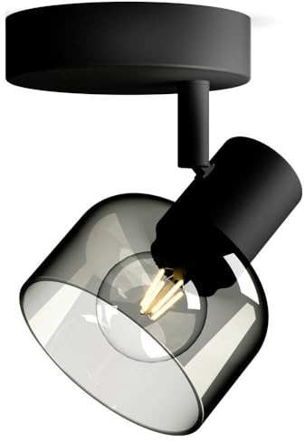 Philips Sleet Spot, 1 faretto, 25W, attacco E14, lampadina non inclusa, Grado di Protezione IP20, Nero