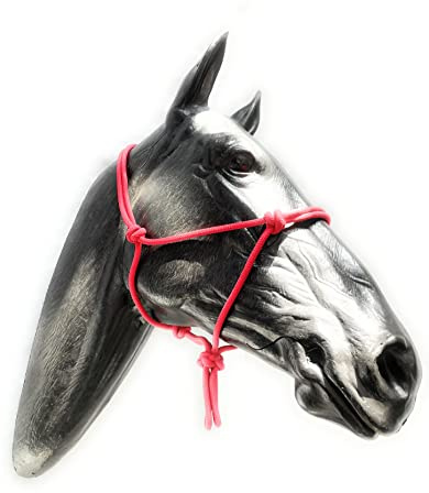 ARBO-INOX Knotenhalfter einfach ohne Führstrick Sonderangebot (Pony, ROT)