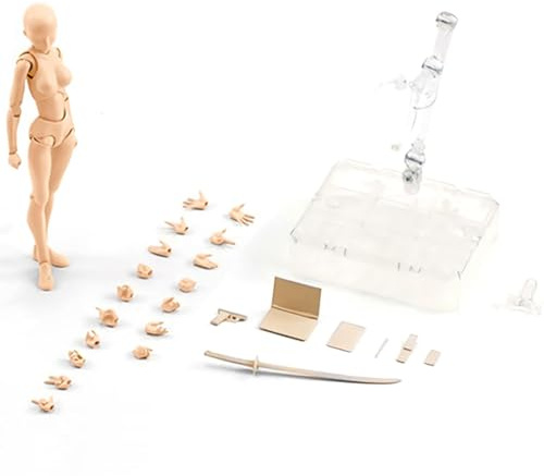 5.9 in Figurines d'action Body-Kun DX & Body-Chan DX en PVC Modèle SHF Collector Toy Model Mannequin Dessin Modèles pour Artistes, Modèle De Figurine d'action De Dessin
