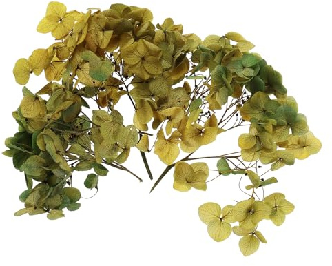PATIKIL Fleur D'Hortensia Séchée, 10g Fleurs Pressées Naturelles Pétales D'Hortensias Réels DIY Résine Artisanat Floral Bougie, Dégradé Foncé