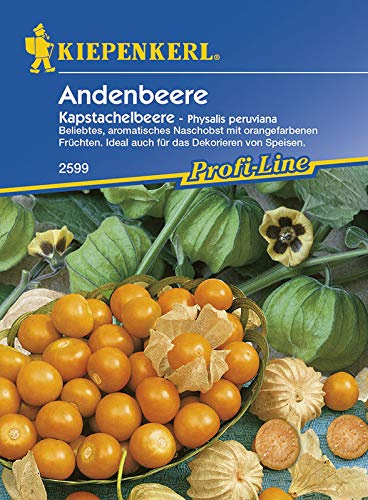 Kiepenkerl 2599 Andenbeere Kapstachelbeere (Andenbeerensamen)
