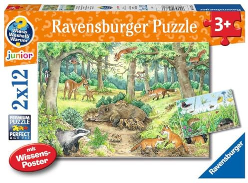Ravensburger Puzzle Tiere im Wald und auf der Wiese - 2x12 Teile Puzzle | 2x12 Teile Puzzle, Kinderpuzzle ab 3 Jahre, Ravensburger Qualität