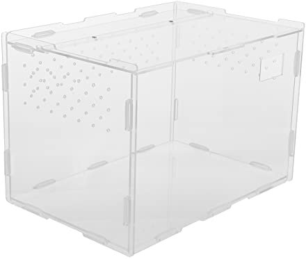 BESPORTBLE Spinnen Box Reptilien Box Futterbox Aus Acryl Für Eidechsen Zucht Terrarium Mit Belüftungslöchern Und Sicherung Gegen Entkommen