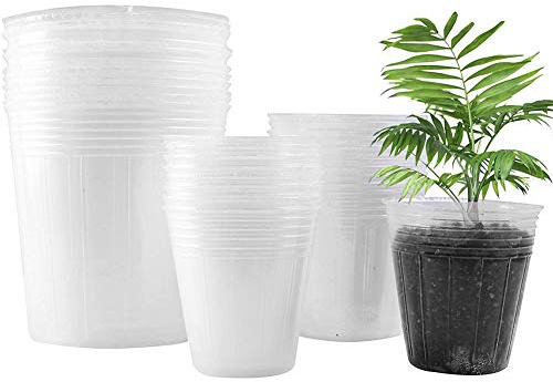 Tiesto, de plástico transparente Orquídea macetas con agujeros, cultivadores de orquídeas transpirable hueco Surtido Vivero Semilla Ollas partir Copa transparente plantador plástico adecuado 30pcs