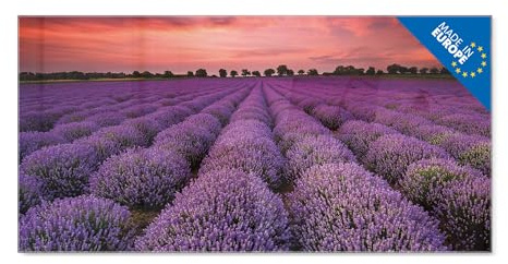 banjado Glas Magnettafel (120 x 60cm) - Magnetwand Glas - Magnetpinnwand als Memoboard - Pinnwand Magnettafel Küche, Büro, Kinderzimmer - Lavendelfeld