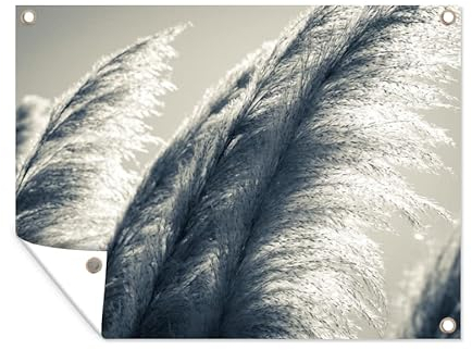 MuchoWow Poster exterieur Herbe de la pampa - Noir - Blanc - Nature Decoration murale 120x90 cm Résistant aux intempéries/soleil