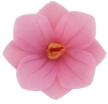 dekora – Fiori commestibili per torte – 18 camelie in cialda rosa 4 cm – Senza zucchero, glutine e lattosio – Decorazioni commestibili per Cupcake, Matrimonio, Compleanno, Battesimo