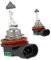 CARALL 2 Stück Halogenlampen 12V für Autos (H11 12V 55W PGJ19-2)