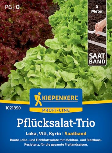 Kiepenkerl Profi-Line Pflücksalat-Triosamen Loka, Vili, Kyrio 1021890 - Das perfekte blattlausresistente Saatgut für Ihr Pflücksalat-Trio. -Salatsamen