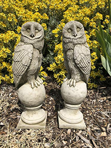 Burgess Home & Garden - Paire de statues de hibou effraie en pierre reconstituée grise, détails complexes en plumes, finition vintage, 42 cm de haut, 7 kg chacune, pour extérieur, montage au sol