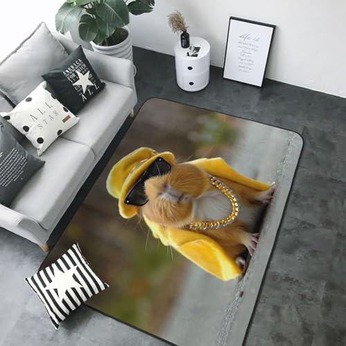 Alfombras de estilo de conejillo de indias de metal pesado para sala de estar, dormitorio, decoración estética de interiores, 5 x 7 pulgadas, suave, lavable, alfombra antideslizante